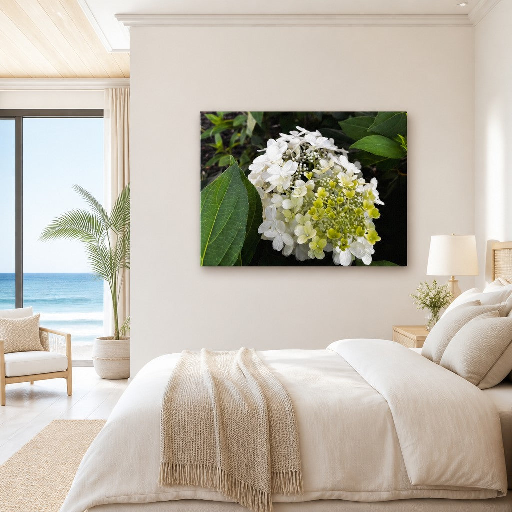 Opensky Goods thin canvas print of a white and green hydrangea flower hanging above a bed in a coastal bedroom.